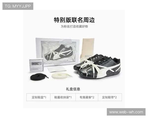 彪马正式成为英超官方用球供应商 新赛季全新用球已亮相